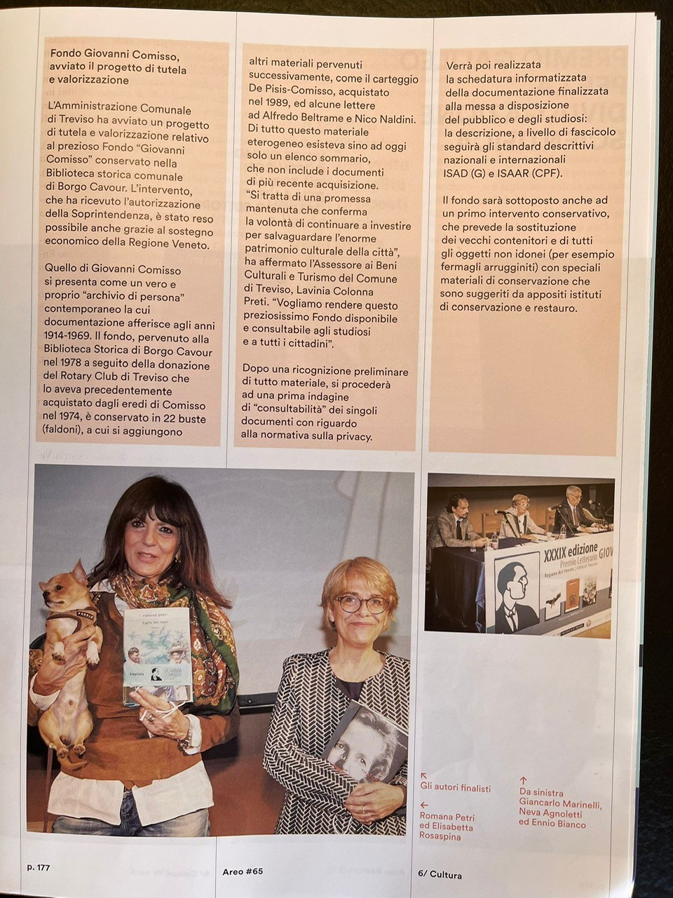 ARTICOLO 3